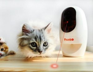 camera de surveillance animalière Pawbo pour chien et chat d'intérieur
