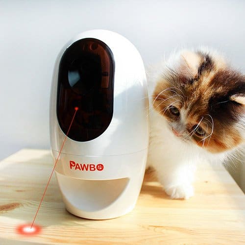 pawbo camera connectée animaux jeu laser distributeur friandise