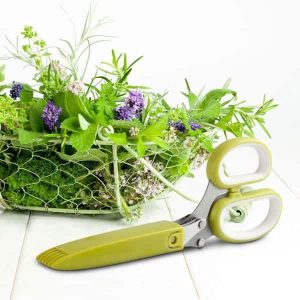 Ces ciseaux à 10 lames hachent nos herbes aromatiques en finesse