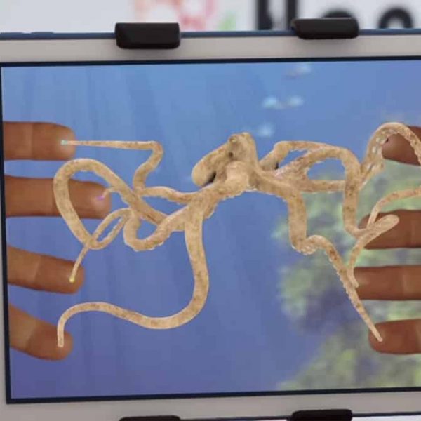 Handycase, une dalle tactile dans une coque pour iPad Air et +