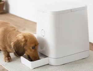 Le distributeur automatique de croquettes Petly a un design impec