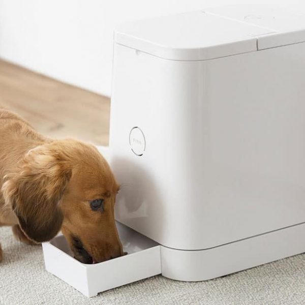 Le distributeur automatique de croquettes Petly a un design impec