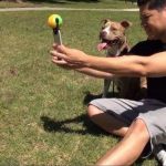 Un accessoire tout simple pour réussir les selfies avec son chien