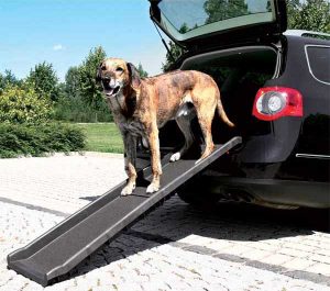 La rampe pour chien Trixie donne un accès pliable à la voiture