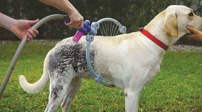 douche pour grand chien woof washer 360