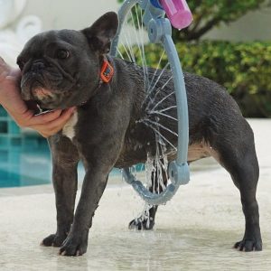 douche pour petit chien woof washer 360