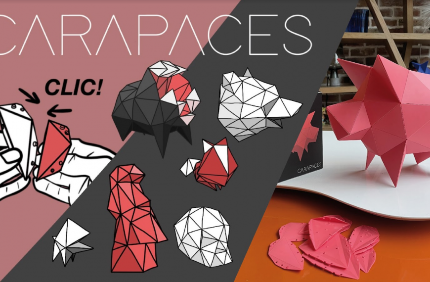 L’origami 3D Carapaces : un puzzle 3D en développement sur Kickstarter