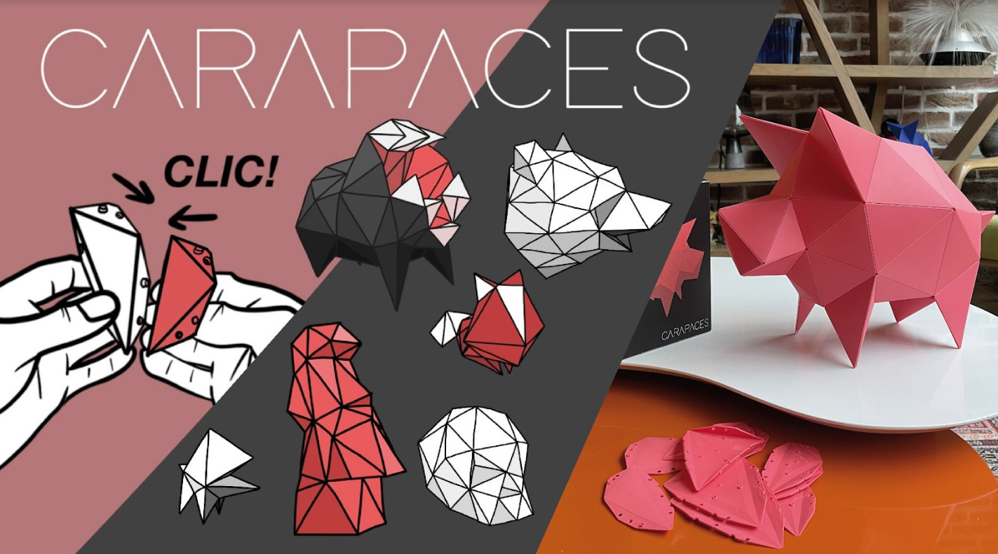 carapaces origami 3d puzzle kickstarter